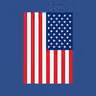 US State Flags icon