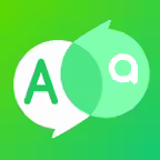 Professional Translator Icon