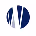 Womack Wealth Icon