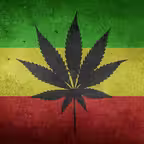 Strains of Weed Icon