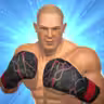 Boxing Ring icon