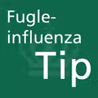 FugleinfluenzaTip iOS Icon