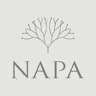 NAPA E-Form icon