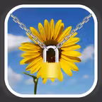 PicLock - Photo Video Locker iOS Icon