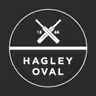 Hagley Oval icon