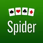 Spider Solitaire Classic iOS Icon