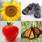 Guess Pictures and Words Quiz iOS Icon