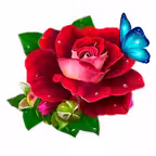 WishOK: Love message, stickers iOS Icon