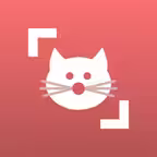 Cat Scanner iOS Icon