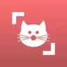Cat Scanner icon