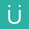 Rumi icon