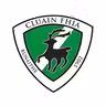 Clonea GAA icon