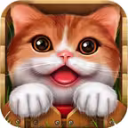 English Baby With Photos (Learning & Practice) iOS Icon