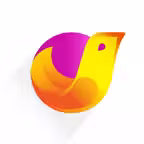 YouMagic + Icon