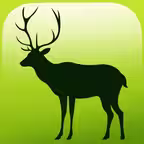 EVO ANIMAL - Augmented Reality Icon