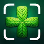 Plant Identifier Care Diagnose iOS Icon