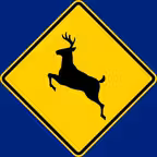 British Columbia, Canada Driver Knowledge Test Icon