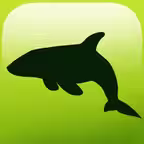 ARCOCEAN - ARC OCEAN Icon