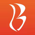 Blaze Mastercard Mobile Icon