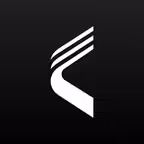 Vector Icon