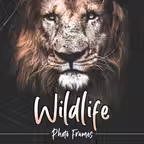 Wildlife Photo Frames Deluxe iOS Icon