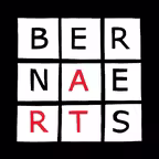 Auctioneers Bernaerts Live Icon