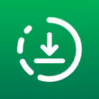 Story saver : Video saver iOS Icon