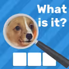 Zoom Quiz Game: Guess The Pics Icon
