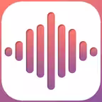 Voice Recorder+ Memo Recording iOS Icon