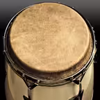 Conga Drums iOS Icon