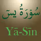 Surah Ya-Sin (سورة يس) iOS Icon