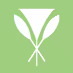 HLEFCU Cards Icon