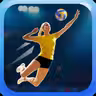 Fine Volleyball