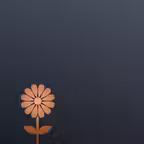 NiponCam-Japanese style filter iOS Icon