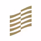 Perfect Spine iOS Icon