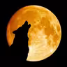 NightZout icon