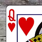 Double Klondike Solitaire iOS Icon