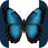 GEN Training icon