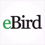 eBird icon