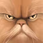 Cats. iOS Icon