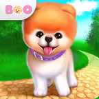 Boo - World's Cutest Dog Game iOS Icon