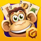 Solitaire Safari - Card Game iOS Icon