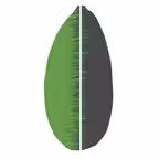 Almond Logic Mobile Icon