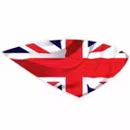 Simplytrak Icon