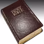 Daily Bible Read iOS Icon