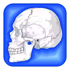Human Body Facts 1000 Fun Quiz iOS Icon