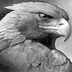 The Message - Sermons of William Branham iOS Icon