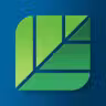 Capillary icon