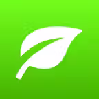 Botanic Book Icon