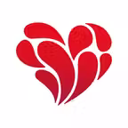 החברה המרכזית Icon